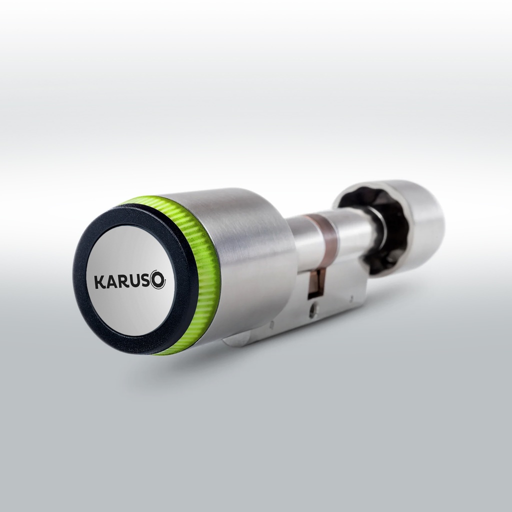 12 elektronische Zylinder je KARUSO in Verbindung mit RFID, NFC und Bluetooth- Anbindung für APP-Steuerung - KAUF