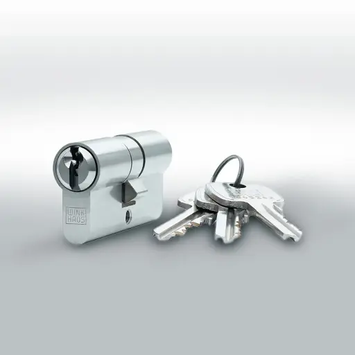 12 gleichschließende Zylinder, je Zylinder 3 Schlüssel - KAUF